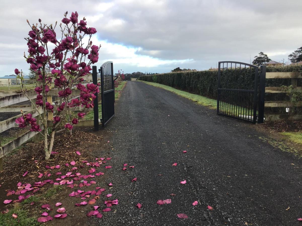 Self Contained Cottage Pukekohe Auckland Bagian luar foto